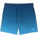 2. Swim shorts 4F M 4FWSS25UBDSM132 46S