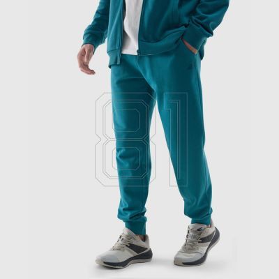 4. Pants 4F M 4FWSS24TTROM603 46S