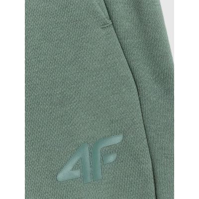 5. Men's sweatpants 4F 4FWAW25TTROM1272-41S