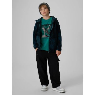 4. Boy's regular printed T-shirt 4F 4FJKAW26TTSHM4455-46S