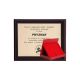 9. Plastic backing with engraved laminate + case 305x245 mm