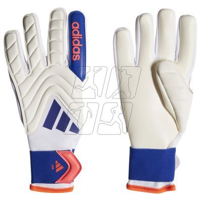 2. Adidas Copa GL LGE IX3832 gloves