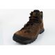3. Aku Coldai GTX men's trekking shoes