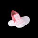 4. TOLER KDG Children's Shoes