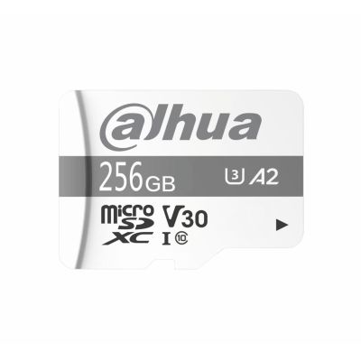 2. Dahua TF-P100 256GB MicroSD UHS-I Class 10 SD Memory Card (1.0.99.80.10039)