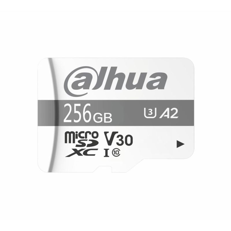 2. Dahua TF-P100 256GB MicroSD UHS-I Class 10 SD Memory Card (1.0.99.80.10039)