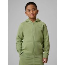 Boy's regular hooded sweatshirt 4F 4FJRSS26TSWSM2749-47S
