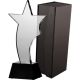 5. Glass trophy with case