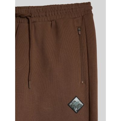 7. Men's jogger sweatpants 4F 4FRAW26TTROM2092-81S