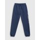 9. Boys' jogger sweatpants 4F 4FJRSS26TTROM1733-31S