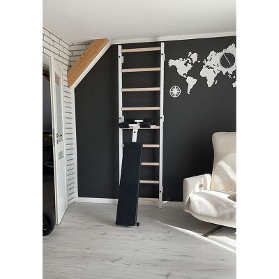 25. GYMNASTIC LADDER WITH A HAND BAR AND A BENCH FOR EXERCISES BENCHK 723W