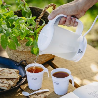 9. ADLER AD 1381 electric kettle