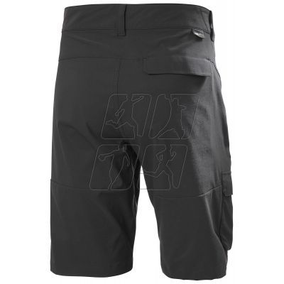 2. Helly Hansen Maridalen Shorts M 62851 981