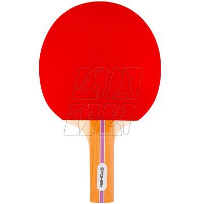 6. Spokey Alpha Set 84352 table tennis set