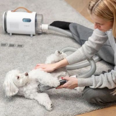 14. MPM MOD-1000 device for home care of dogs and cats