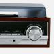 4. Turntable with Radio Adler CR 1113 (black)