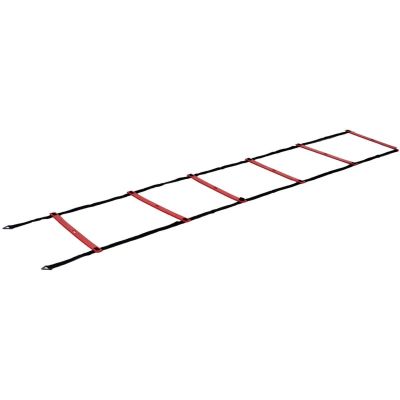 PURE 2 IMPROVE 4.5M ADJUSTABLE WIDTH ACTIVITY LADDER