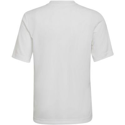 8. adidas Entrada 22 Graphic Jersey Jr HF0120