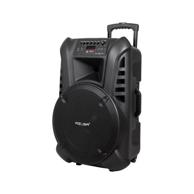 Active speaker with 2 microphones, Bluetooth, battery.
