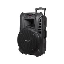 Active speaker with 2 microphones, Bluetooth, battery.