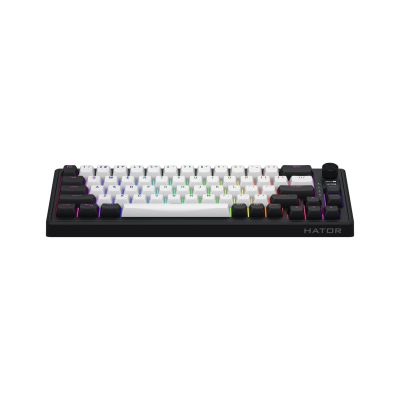 12. HATOR Skyfall 65 MAG ULTIMA 8K wireless keyboard Gaming USB + RF Wireless + Bluetooth QWERTY US English Black, White