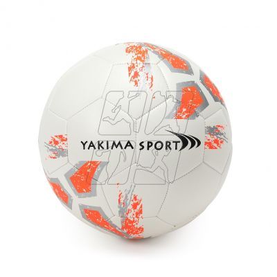 2. Yakima Sport Ball 100095