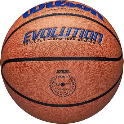 5. WILSON EVOLUTION 295 GAME BASKETBALL SIZE 7