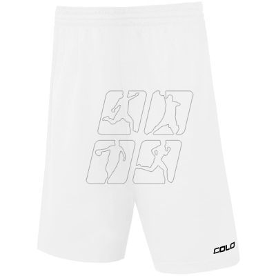 Colo Spring 05 Basketball Shorts