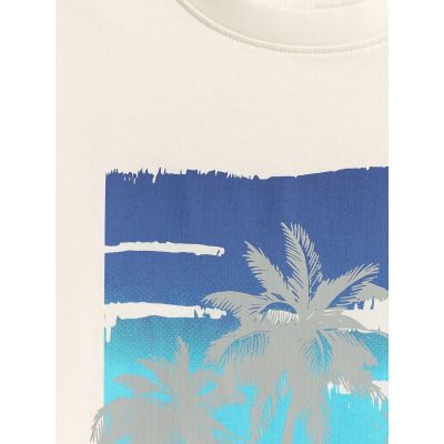 5. Men's regular printed T-shirt 4F 4FRSS26TTSHM4291-11S
