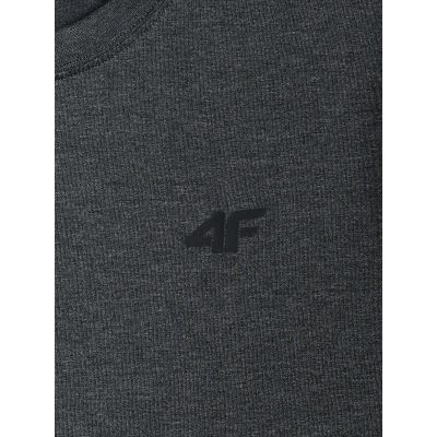 5. Men's regular plain T-shirt 4F 4FRMM00TTSHM4192-23M