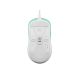 2. Fury Tanto T4 Gaming Mouse, 12,000 DPI, RGB, Mint, Wired