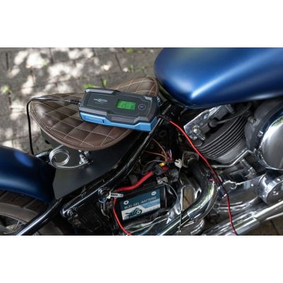 3. Ansmann 1001-0144 Vehicle Charger 6 - 14 V Black