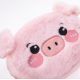 3. Children's PIG WALLET