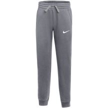 Nike Park 26 Fleece Kids Pants Gray IB1252 063