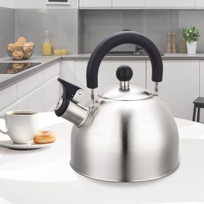 2. Kettle 2.0L MR-1300 MAESTRO