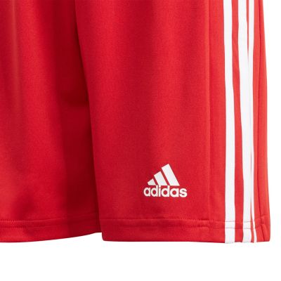 9. Adidas Squadra 21 Short Youth Jr shorts GN5761