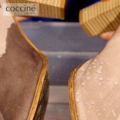 4. Coccine leather impregnation spray DA0265