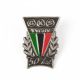 4. GKS Tychy 50th Anniversary Pin