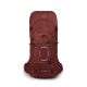 Osprey Aether 65 Trekking Backpack 10006678/289/S/M
