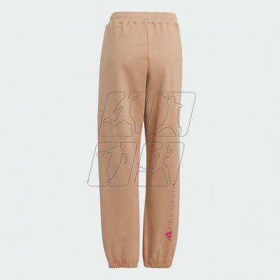 2. Pants adidas by Stella McCartney Sportswear Sweatpants W IA7721