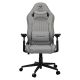 2. COUGAR CGR-EPF-ROA Universal Gaming Chair Grey