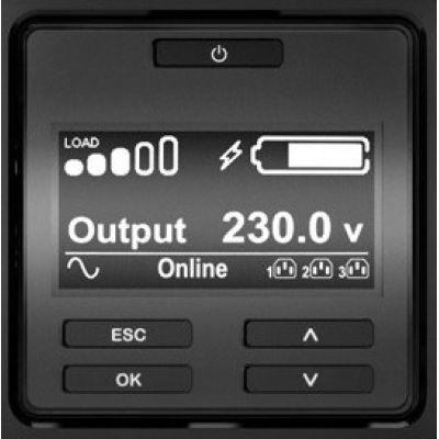 4. APC Smart-UPS SRT 2200VA RM 230V Network Card