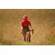 12. Radvik Foxtrot Gts M Cycling Jersey 92800406915