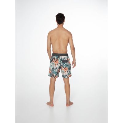 Protest PRTARYF beach shorts (P2710621/672)