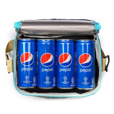 4. Meteor Frigid Thermal Bag 12.5L Blue/Gray