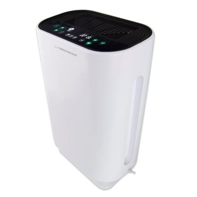 20. ESPERANZA BORA EHP003 Air Purifier