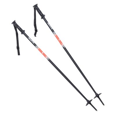 2. SNOWFLAKE JR Kids' Poles