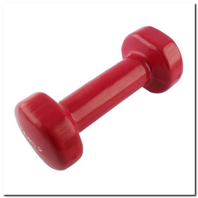 2. Vinyl weight 2kg HMS 17023
