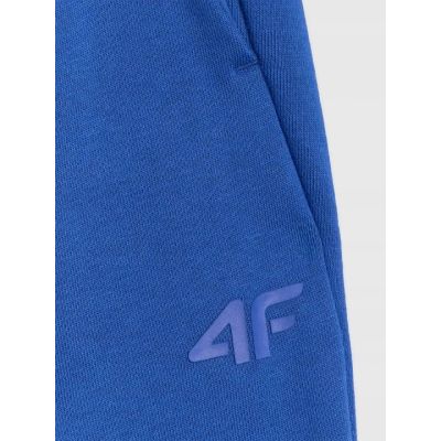 4. Men's sweatpants 4F 4FWAW25TTROM1272-36S