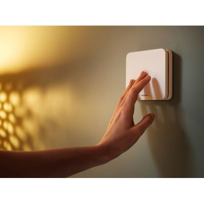 2. NETATMO NCO-EC carbon monoxide sensor